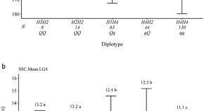 write an essay on gene mapping