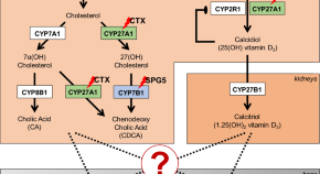 new research on genetic conditions