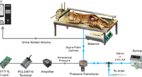 research projects for digital signal processing