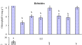 presentation topics about ecology