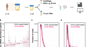 thesis in computational biology