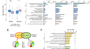 new research on huntington's disease