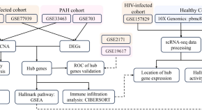 hiv aids research paper topics