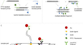 polymerase chain reaction research paper