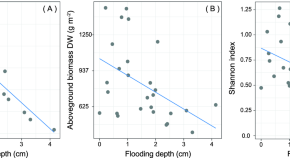 wetland biodiversity research paper