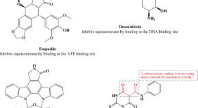 essay on chemistry in medicine