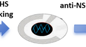 phd electrochemistry