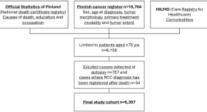 kidney cancer essay