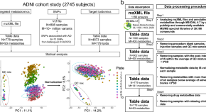 data mining phd research topics