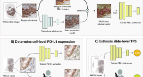 latest research topics on data mining