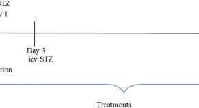 research paper on neuroscience