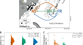 research articles about coral reefs