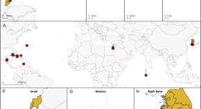 research paper on plant taxonomy