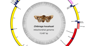 phylogenetic analysis research journal