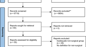 experimental research report pdf