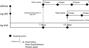 new research on inflammation