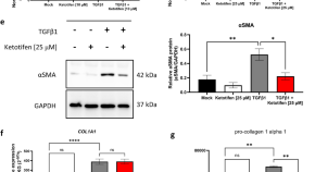 abstract in medical research