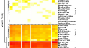 medical microbiology presentation topics