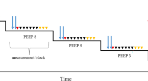 research study example