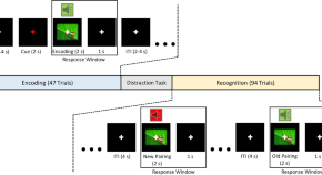 research article about memory