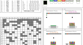 research paper on dna computing pdf