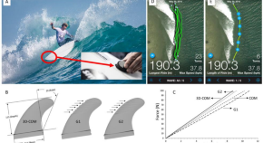 biomedical research fields biomedical research fields