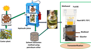 scientific paper example