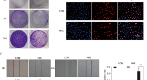 research study example