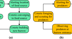 research topics on computer science