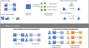 research work in digital image processing