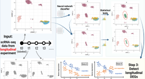 experimental research articles pdf