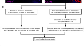 academic research journals