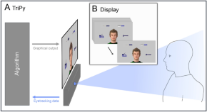 behavioral neuroscience new research