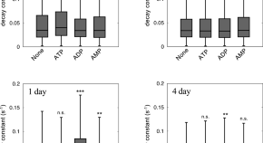 new research on causes of alzheimer's