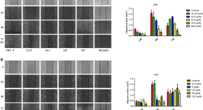 research article example for students