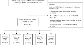 publication of research paper