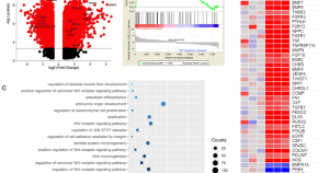 best websites for research articles