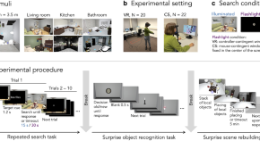 research article about memory