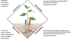 research topics about botany