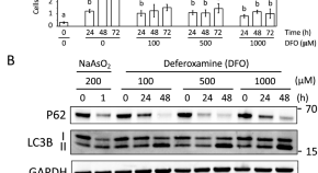 format of a research article