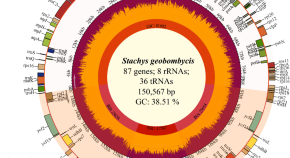 example of a scientific research paper