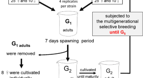 marine biology extended essay topics