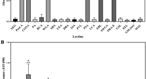 research report about