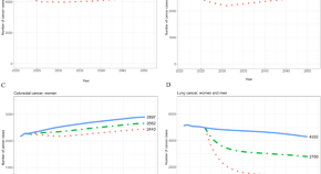 research report about