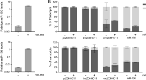 molecular biology dissertation topics