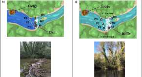 biodiversity research articles