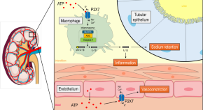 research papers for cardiovascular disease