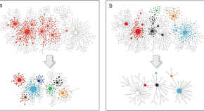 recent research topics in networks
