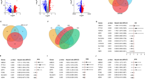 experimental research report pdf