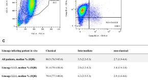 tuberculosis research paper example